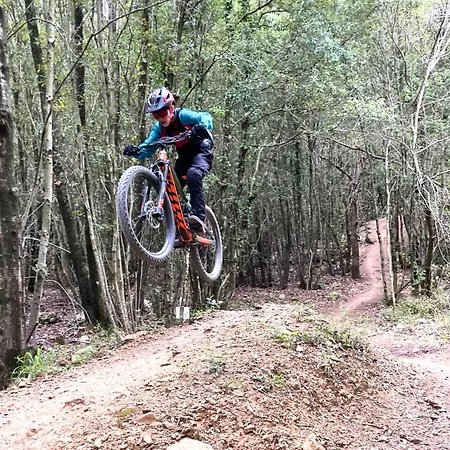 Dolce Toskana - Mit Parkplatz Und Fahrradkeller Apartment Massa Marittima